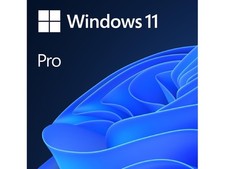 Microsoft Windows 11 Pro 1