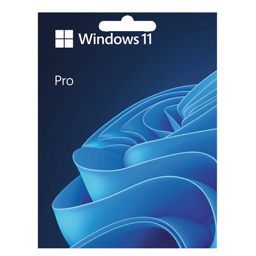 Microsoft windows pro - 11,